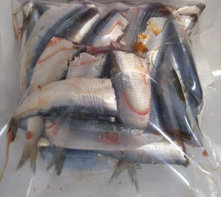 img_20221005_141203_580_5864b02c9d264e03a3ce97c120e10b51_1024x1024